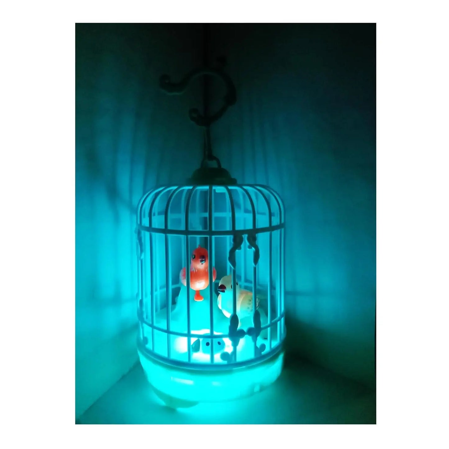 Talking Bird Toy for Kids – Repeats Speech, Sings & Chirps in Cage - Snapelo